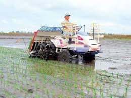 La mécanisation agricole, enjeu capital pour le delta du Mékong - ảnh 2